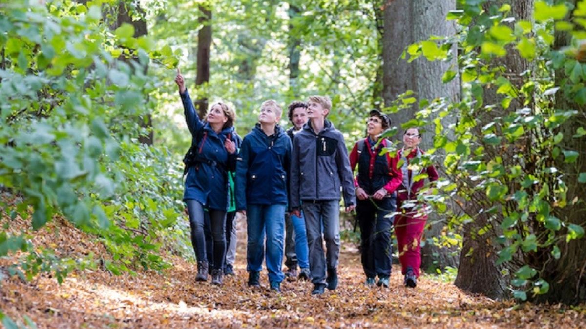 Mit dem Projekt „Zukunft Ehrenamt sichern“ des Sauerländischen Gebirgsvereins und des Westfälischen Heimatbunds soll das Ehrenamt gestärkt werden. von Südwestfalen Agentur GmbH