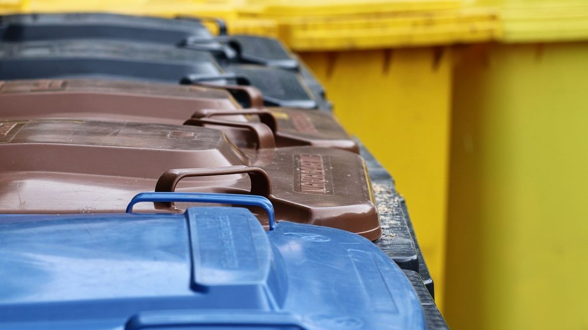 Symbolfoto Mülltonnen von Pixabay.com/Manfred Richter