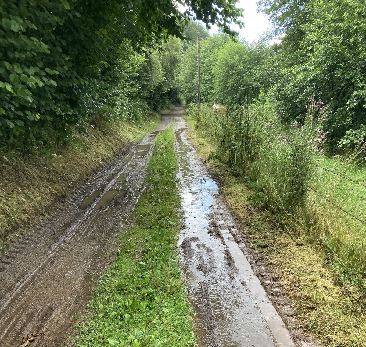 Der Zustand für einen Fahrradweg sei nicht hinnehmbar. von privat