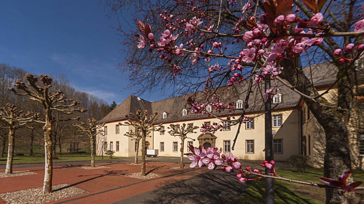 Das Gutsgebäude Ewig von Reiner Feistauer