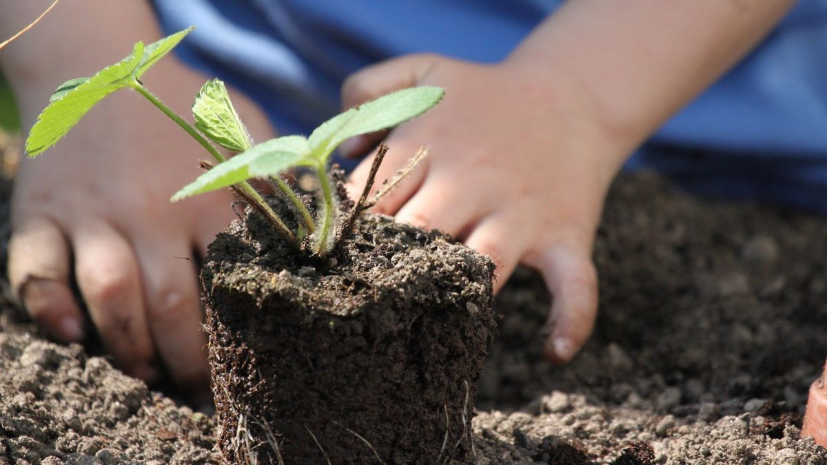 Symbolfoto. von Pixabay.com/Kurt Bouda