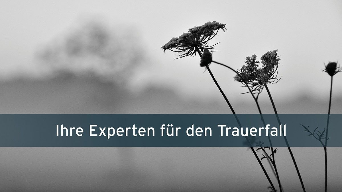  von Grafik: Sophia Poggel