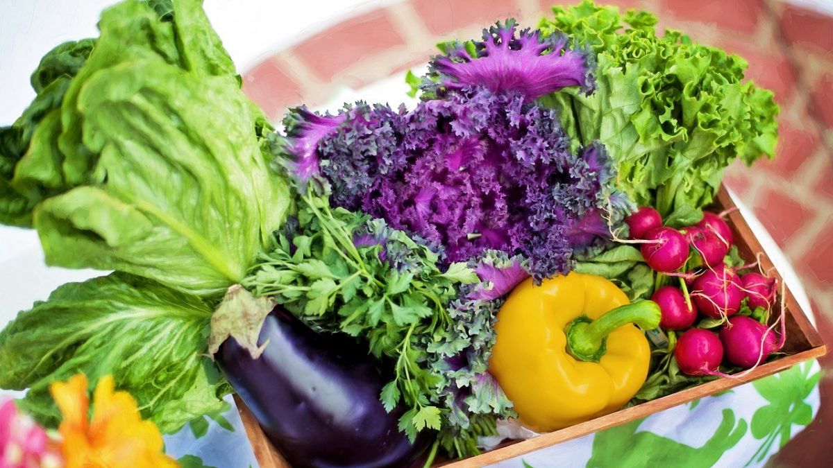 Es geht darum, Essen saisonaler, regionaler, ökologischer und fairer zu produzieren. von Pixabay.com