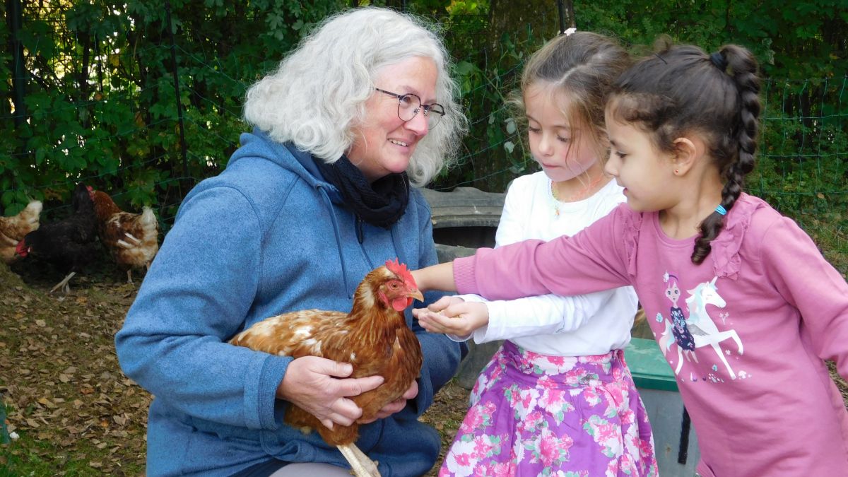 Im Rahmen eines Hühner-Projekts hat sich der Evangelische Martin-Luther-Kindergarten in Attendorn für einige Wochen um fünf Hennen gekümmert. von privat