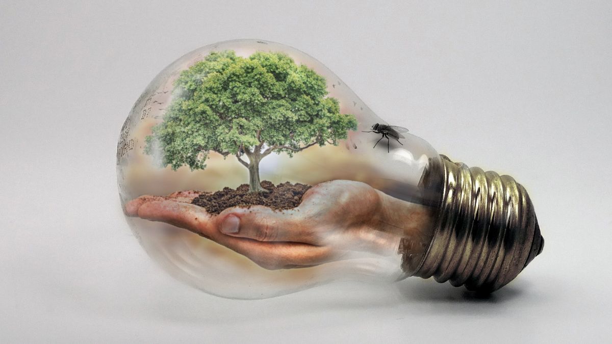 Symbolfoto. von pixabay.com