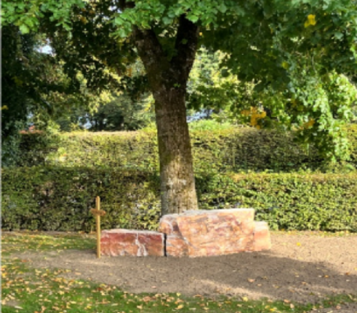 Angelehnt an eine Bestattung im Friedwald, entsteht unter einem großen Lindenbaum ein erstes Urnenfeld, mit einem zentralen Naturstein für die Namenstafeln. von privat