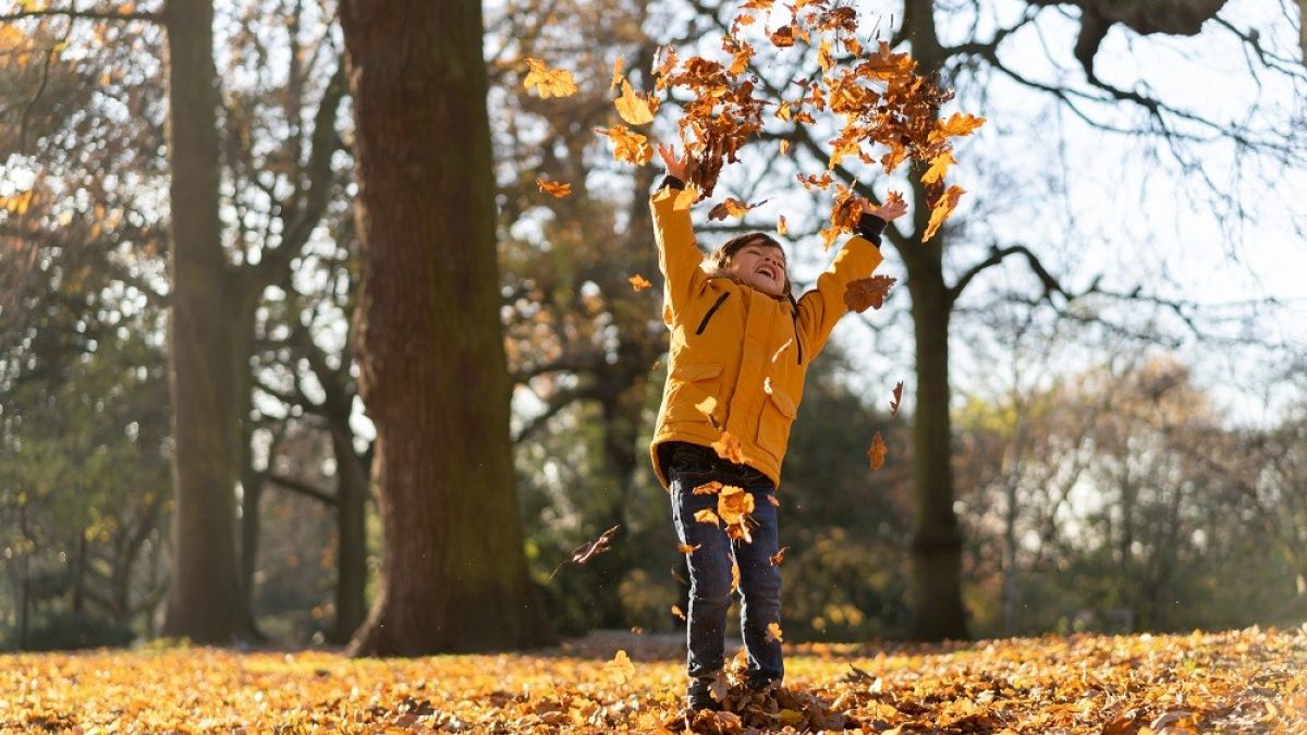 Viel zu erleben gibt es für die jüngsten Kunden der Volksbank Sauerland bei der Waldsparwoche vom 30. Oktober bis zum 3. November. von privat