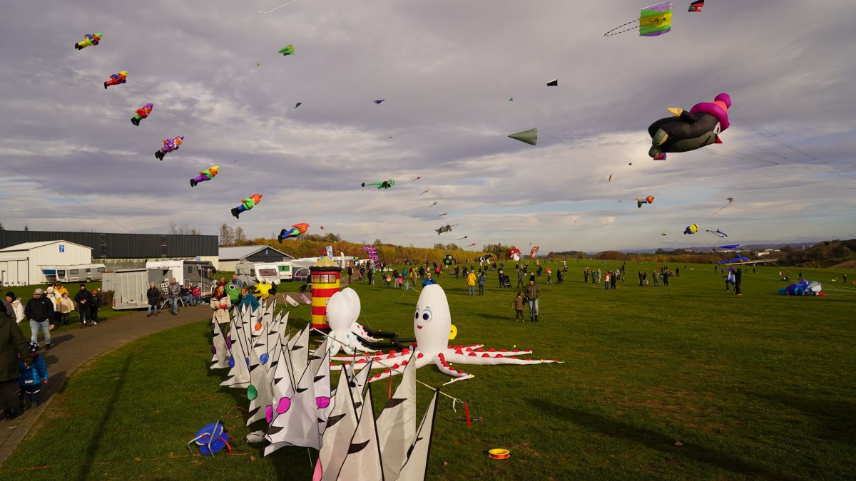 So ein buntes Bild erwartet die Besucher erneut beim Drachenfest. von LSC Dümpel