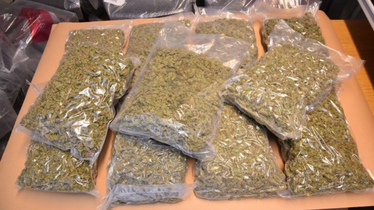 Die Ermittler stellten 15 Kilogramm Marihuana sicher. von Kreispolizeibehörde Siegen