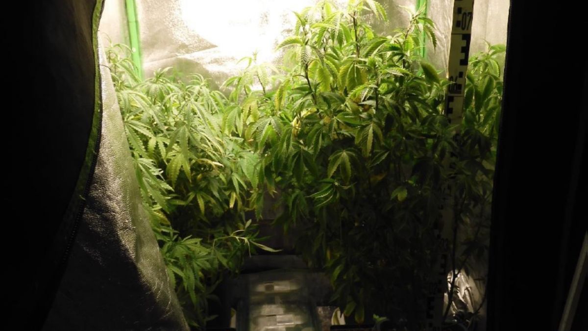 Eine der sogenannten Growboxen der Plantage. von Polizei Siegen-Wittgenstein