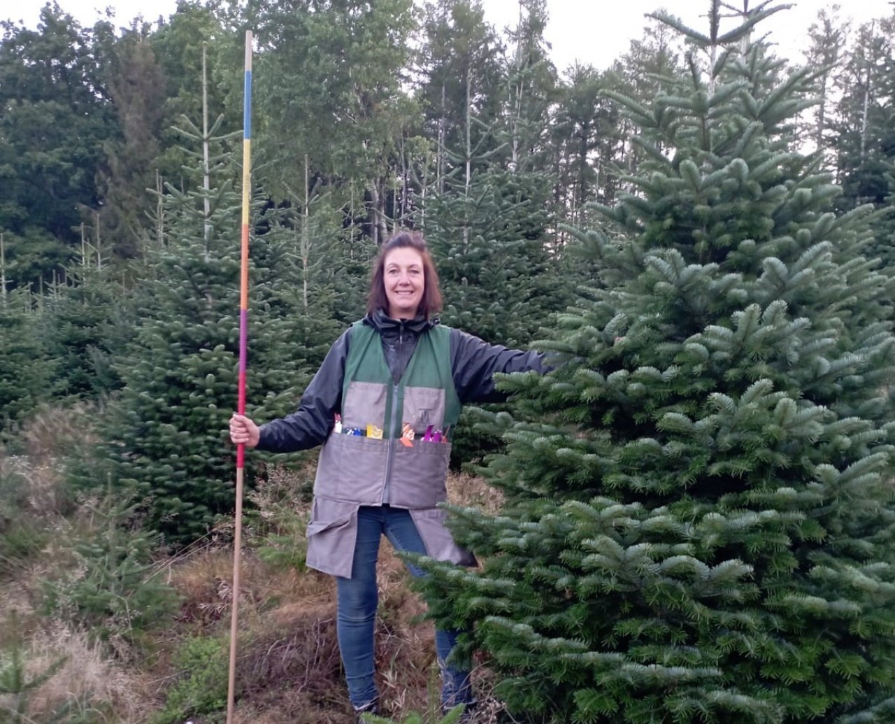 Vom Saatkorn bis zum geschmückten Weihnachtsbaum im Wohnzimmer ist es ein jahrelanger, mühsamer Weg - ein Ganzjahres-Job für Kerstin Dümpelmann und das Team der Forstbaumschule Lindemann. von privat