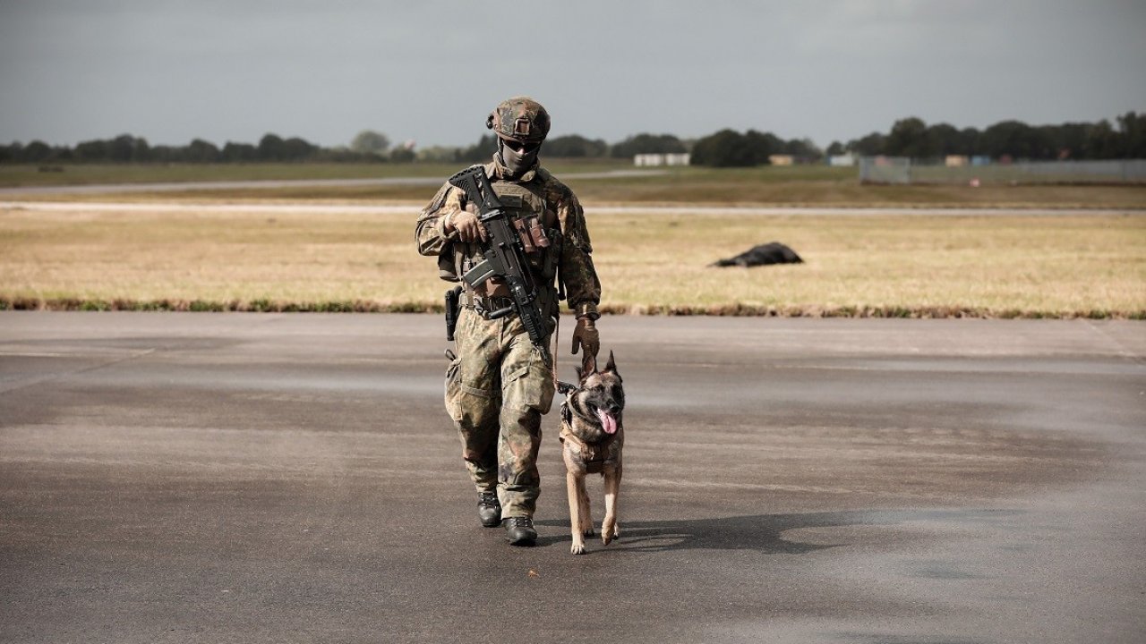 Der beliebte Jahreskalender der Schule für Diensthundewesen der Bundeswehr ist ab sofort wieder in Attendorn erhältlich. von Hauptgefreiter Sonntag