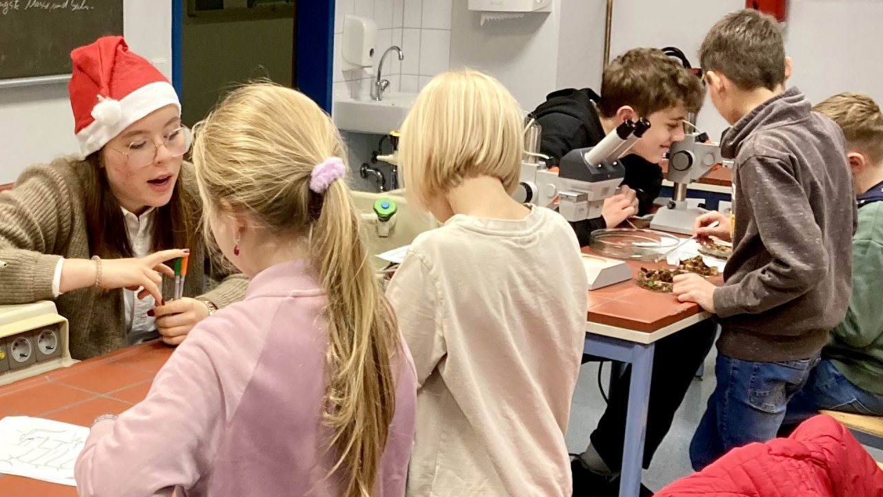 Grundschüler erforschten am St.-Ursula-Gymnasium die Asseln. von privat