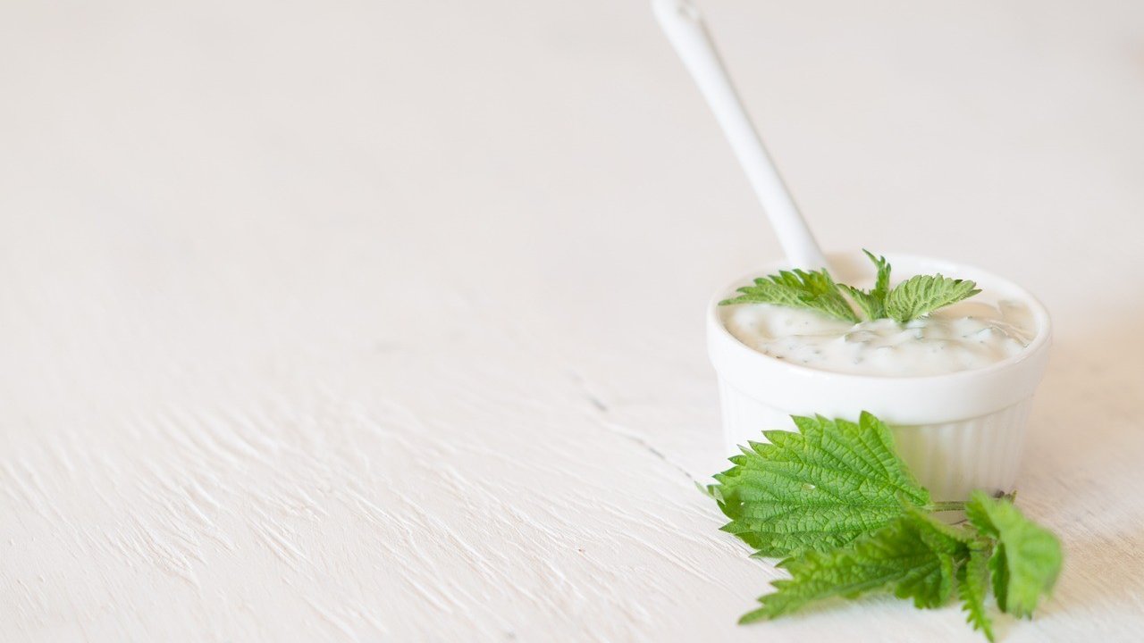 Minz-Joghurt schmeckt wunderbar zu Hähnchenbrust und Couscous - und alles ist schnell zubereitet! von pixabay