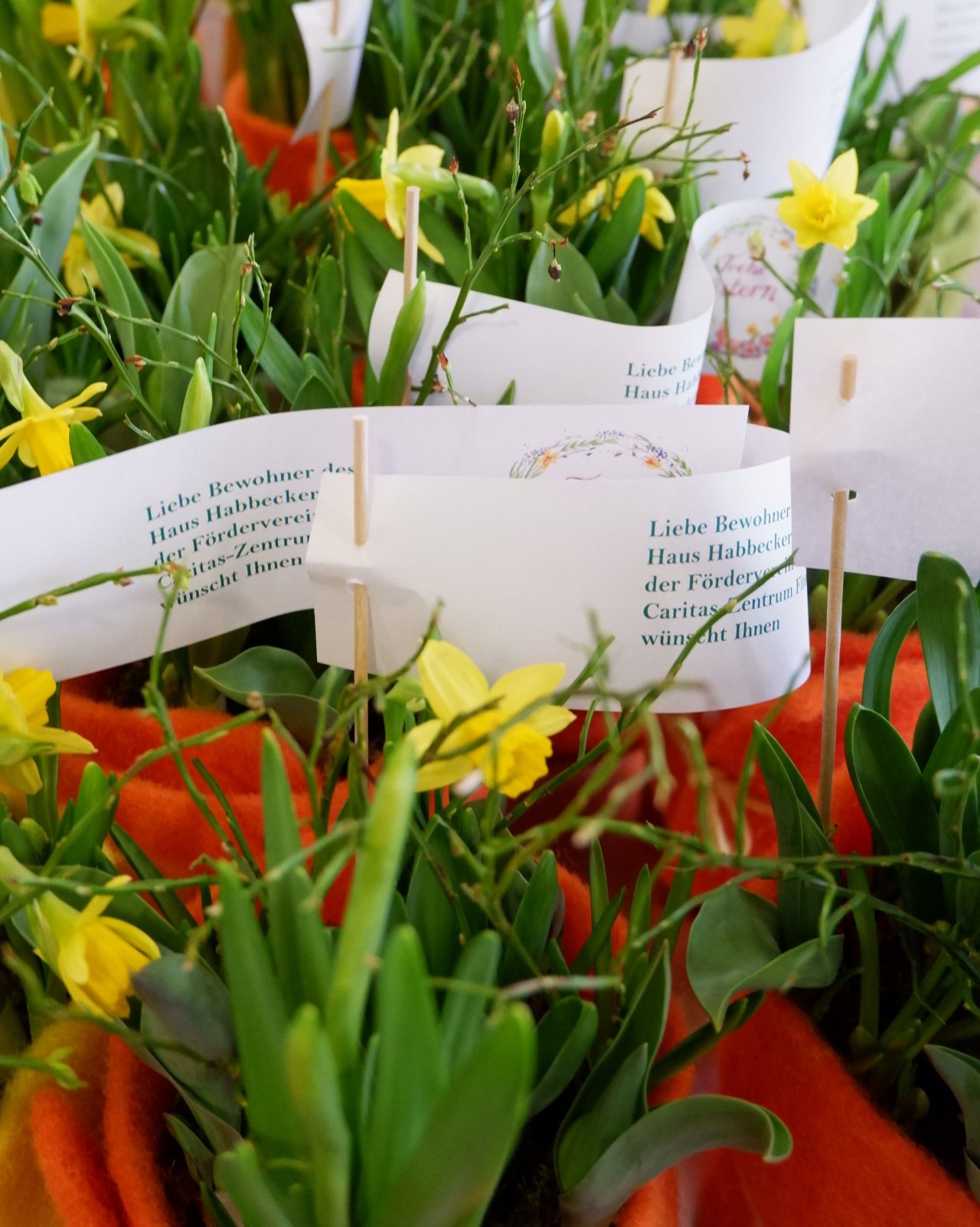 Mit einem kleinen Gruß daran, wurden die Blumen verteilt. von privat