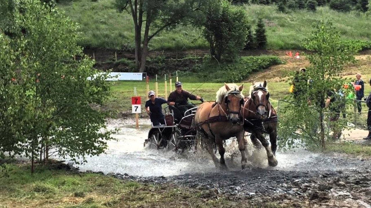 Pferde, Kutschen und ganz viel Spaß: Die Kutschertage in Cobbenrode