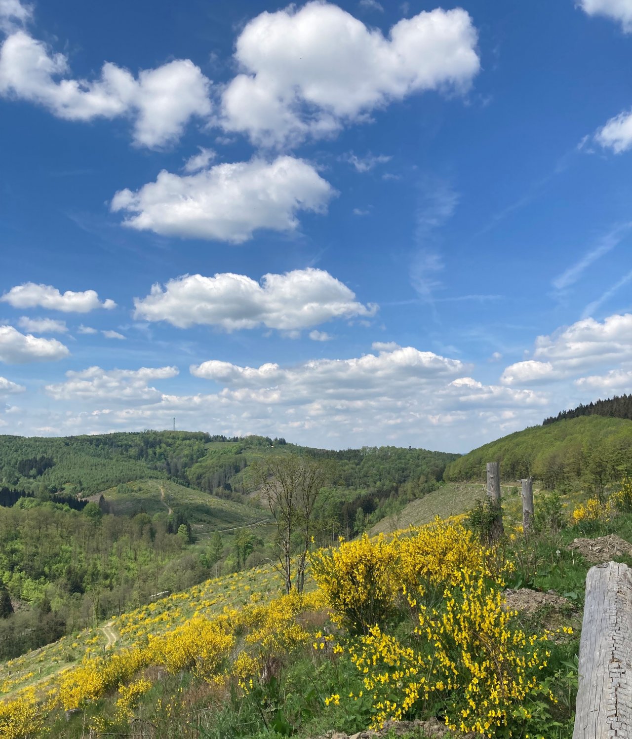 Lorena Klein ist gerne rund um Neuenkleusheim - hier mit Blick in Richtung Rhonard - unterwegs. Die Aussichten sind einfach herrlich! von Lorena Klein