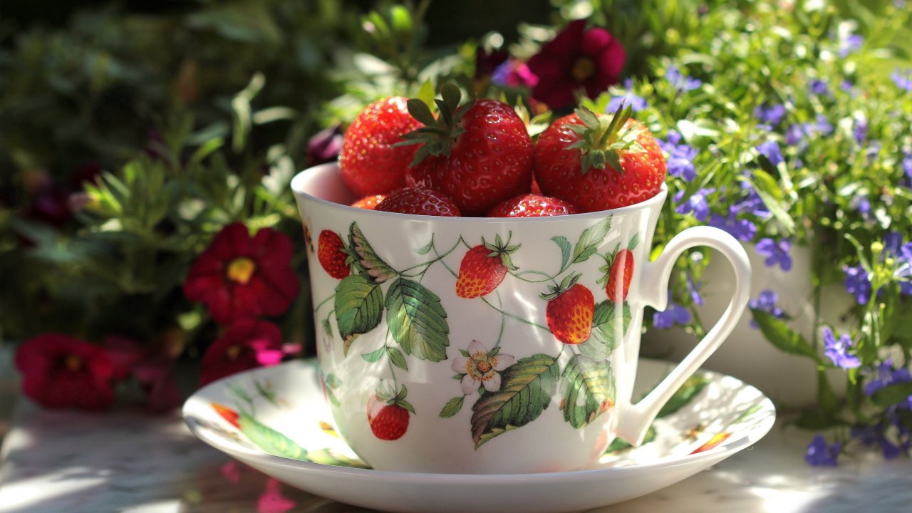 Endlich Erdbeersaison! Was man mit den süßen roten Früchten alles zaubern kann, zeigt euch Melli Heuel. von pixabay