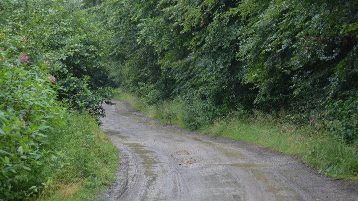 Der Radweg von Lenhausen nach Rönkhausen soll ausgebaut werden.