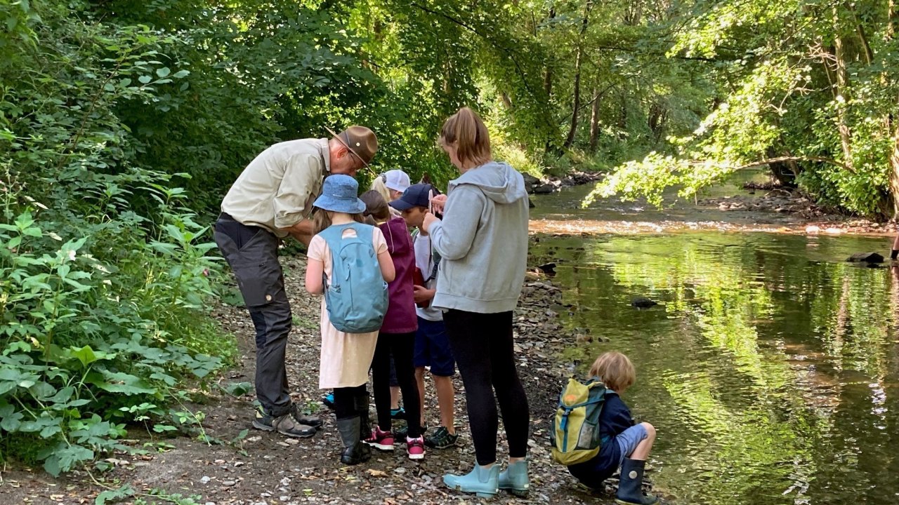 Mit einem Ranger können die Kinder die heimischen Gewässer untersuchen. von privat