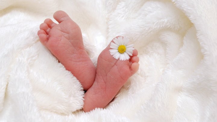 Symbolfotos Baby, Neugeborene, Säugling