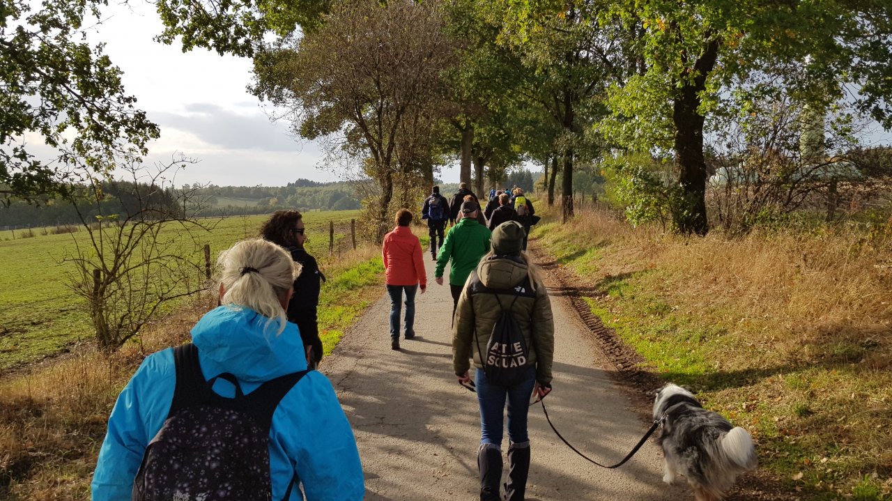 Ein Spaziergang durch die frühherbstliche Landschaft ist gut für Körper und Geist. von Holger Böhler