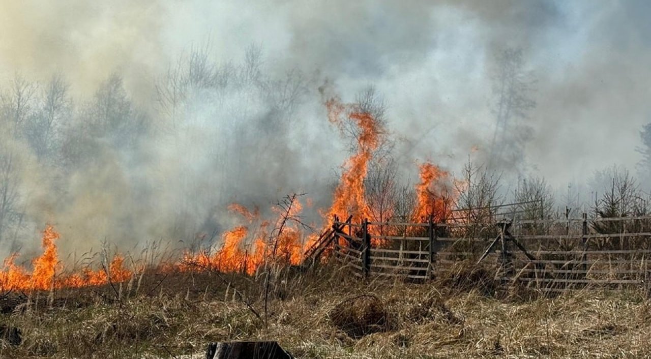 In Sundern bekämpfen viele Feuerwehrleute einen großen Waldbrand. von Feuerwehr Sundern