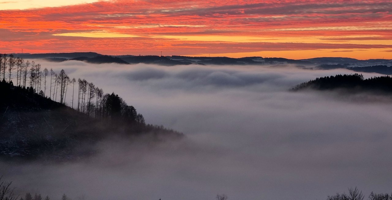 Blick von der Reper Höhe (Tal im Nebel) von Stephanie Sondermann