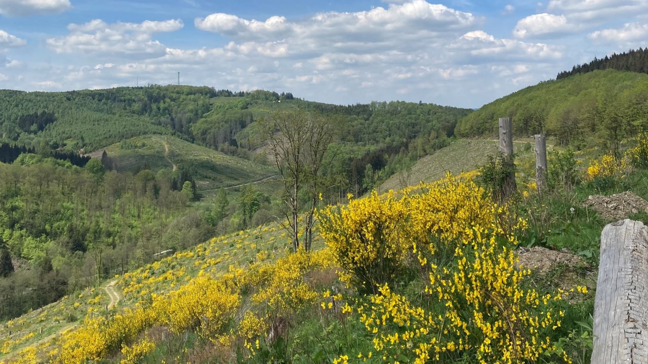 Landschaft bei Neuenkleusheim mit Blick in Richtung Rhonard. von Lorena Klein