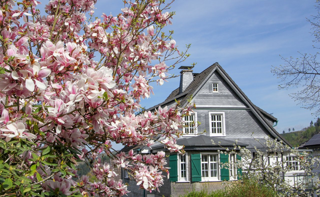 Frühlingsimpression aus Lennestadt. von Theresa Deimel