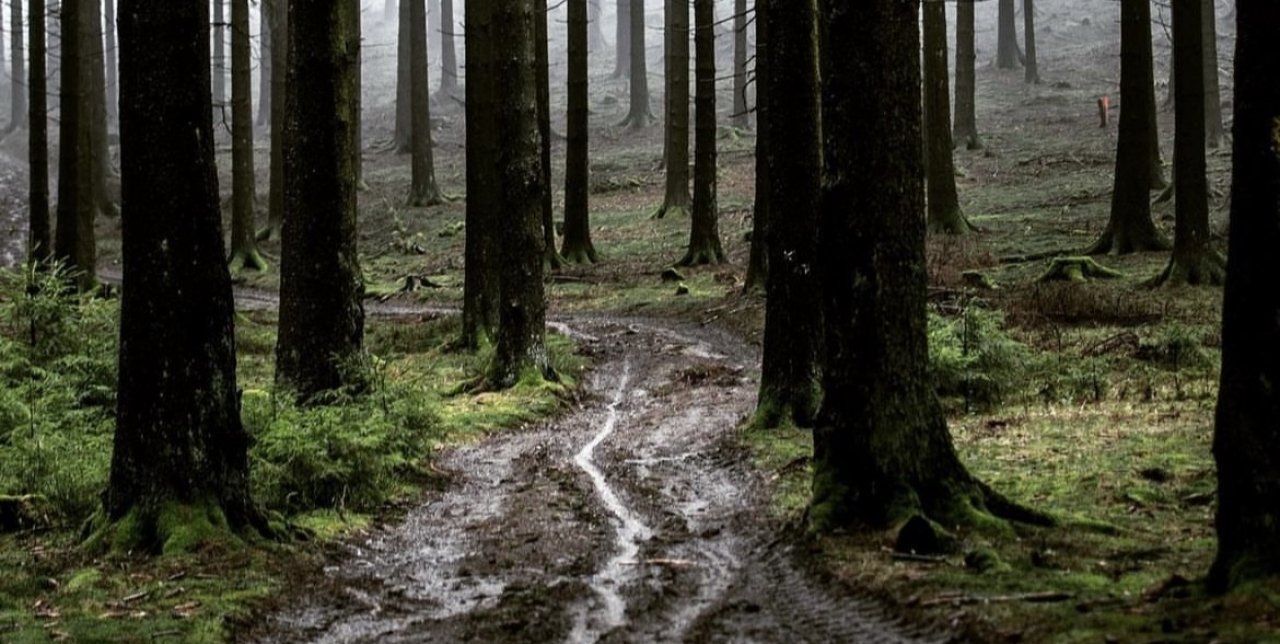 Wetterfoto aus dem Sauerland. von Rico Schöttes