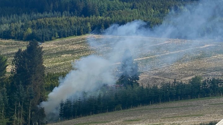 Einen Flächenbrand bekämpfte die Feuerwehr am Freitagnachmittag, 9. Mai 2025, in Rinsecke.