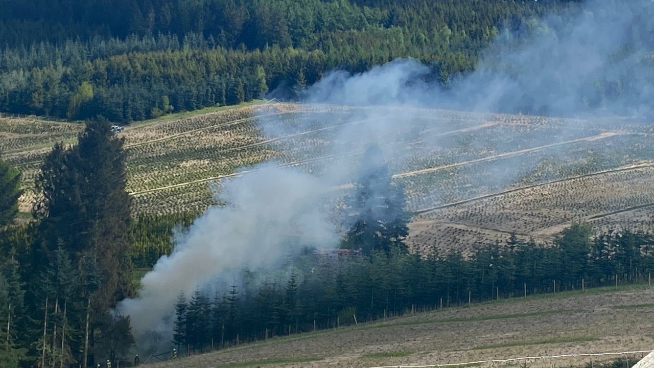 Flächenbrand in Rinsecke: 70 Einsatzkräfte vor Ort