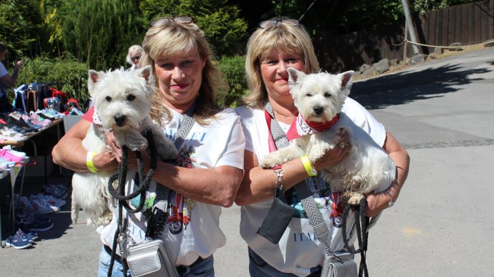 Knapp 200 Hundebesitzer und ihre insgesamt 126 Westies trafen sich wieder auf dem Elsper...
