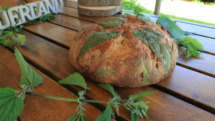Bei „Natürlich inspiriert“ dreht sich im Mai alles um Kräuter, Natur und Ernährung.