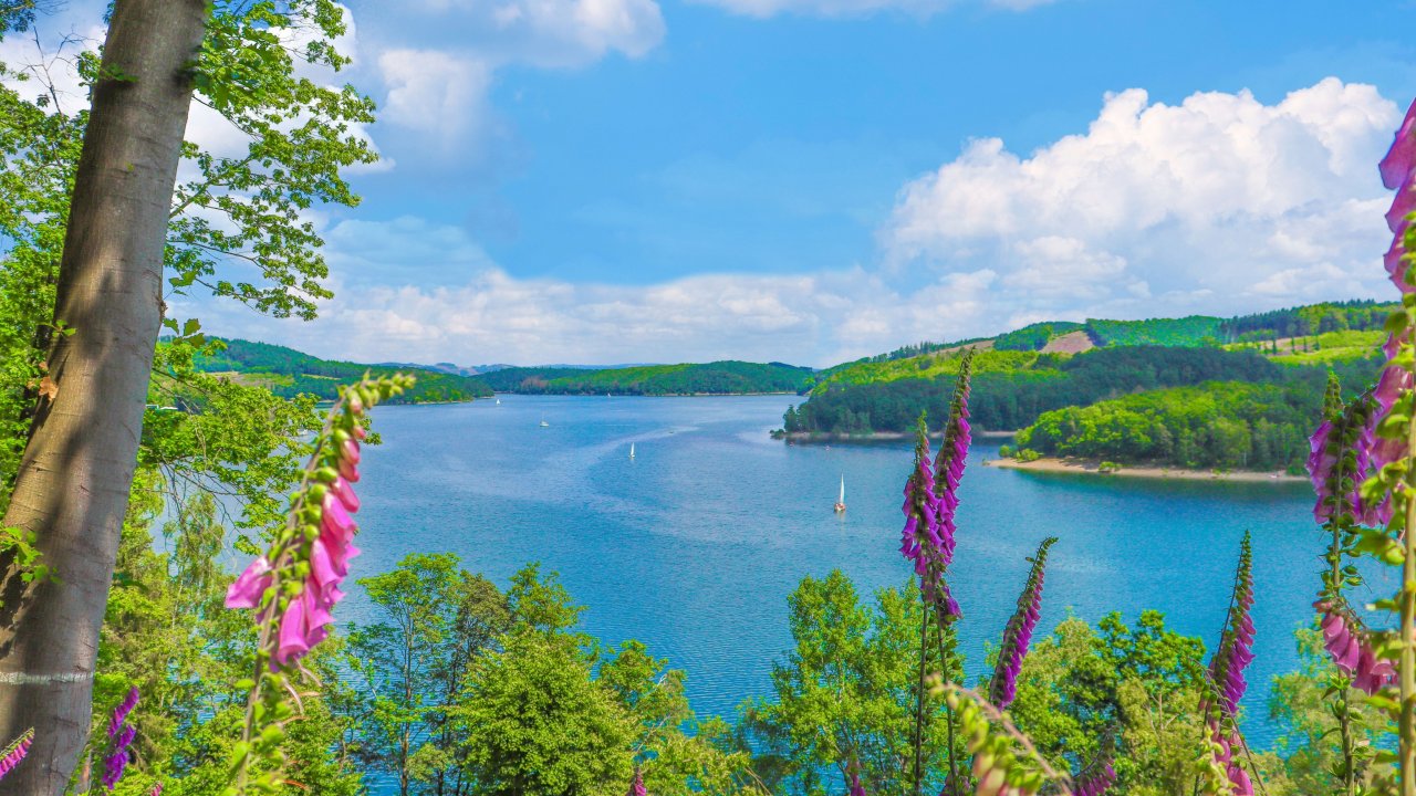 Der Biggeesee. von Tourismusverband Biggesee-Listersee