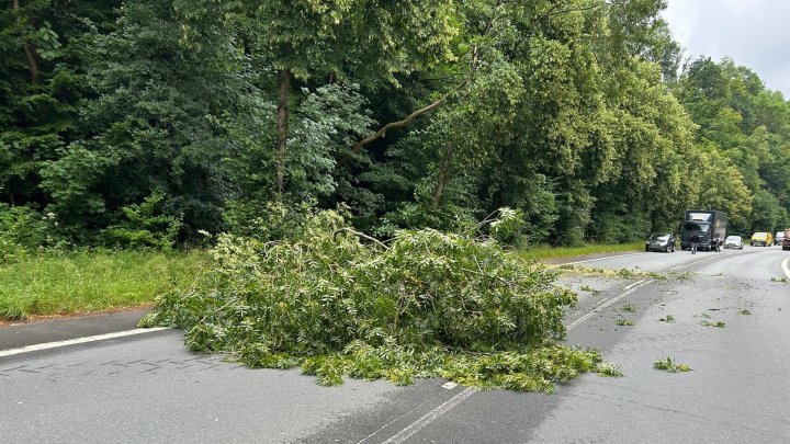 Ein Baum stürzte am Mittwochmorgen, 9. Juli, auf der B 236 auf die Straße.