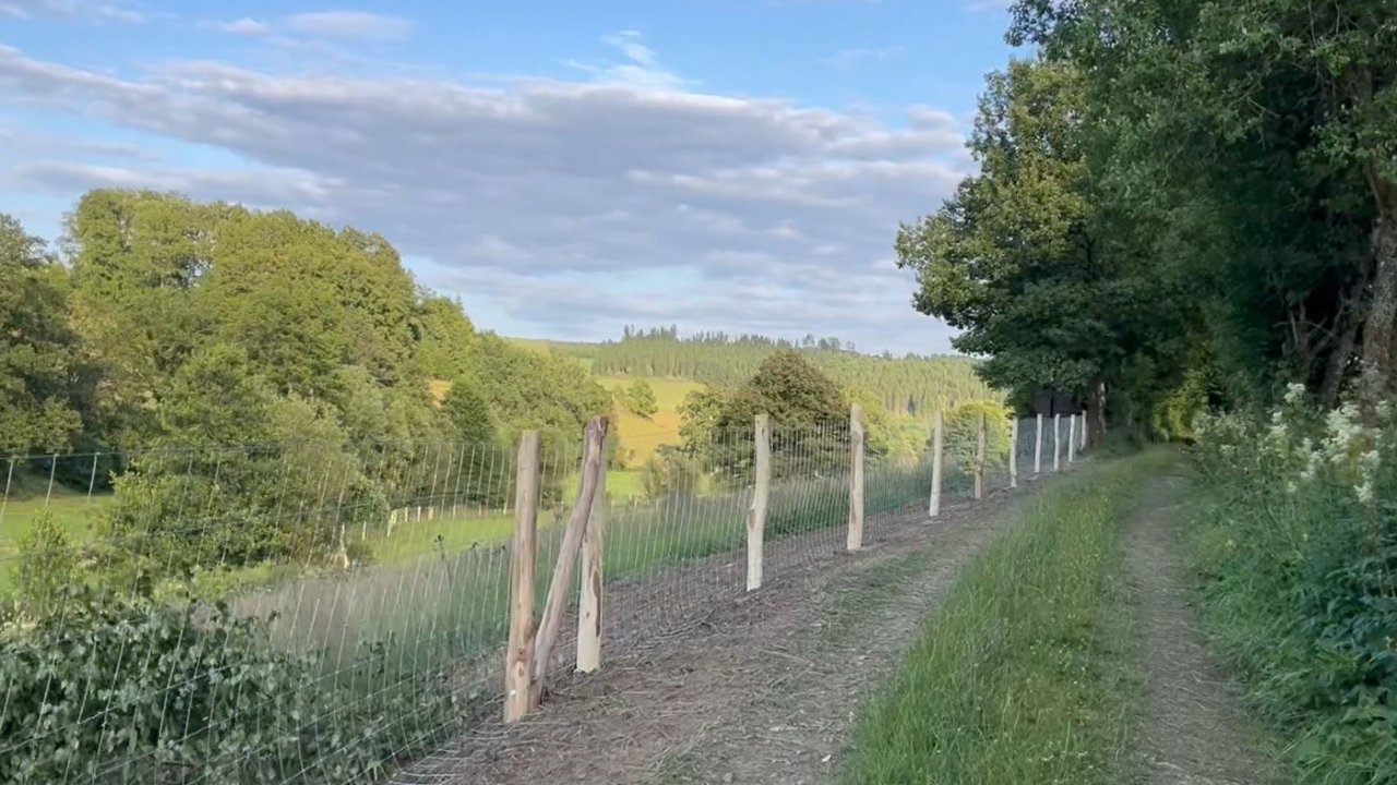 Entlang der Kreisgrenze zu Siegen-Wittgenstein stehen schon knapp 10 Kilometer Zaun. von Kreis Olpe
