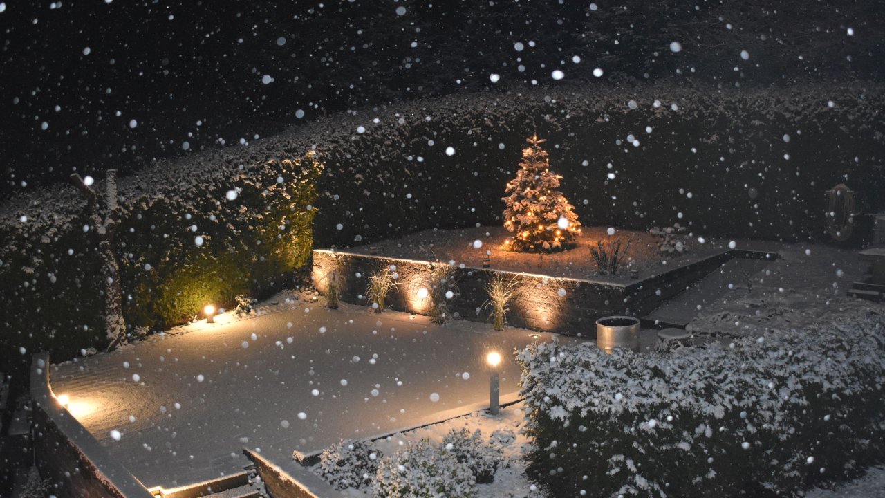 Weihnachtsgrüße aus Schönholthausen. von Martin Franke