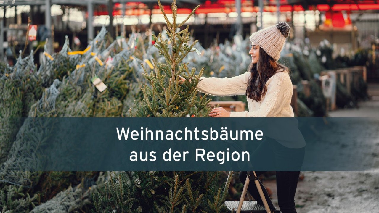  von Grafik: LokalPlus