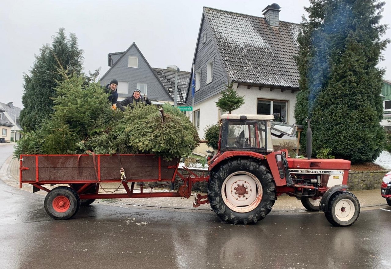 Die KjG St. Clemens Drolshagen sammelt wieder Weihnachtsbäume in der Stadt. von privat