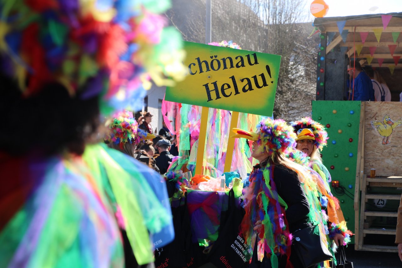 Rosenmontagszug 2025 in Schönau-Altenwenden. von Lorena Klein