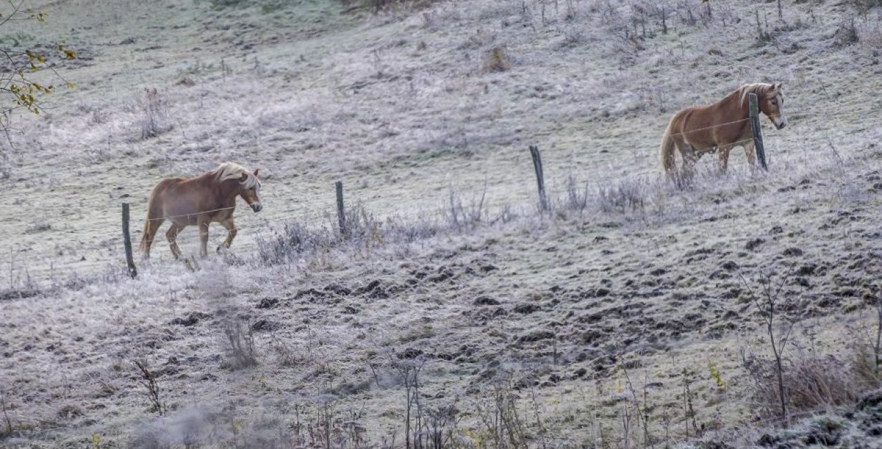 Der Winter zieht sich zunächst in die höchsten Lagen zurück. von privat