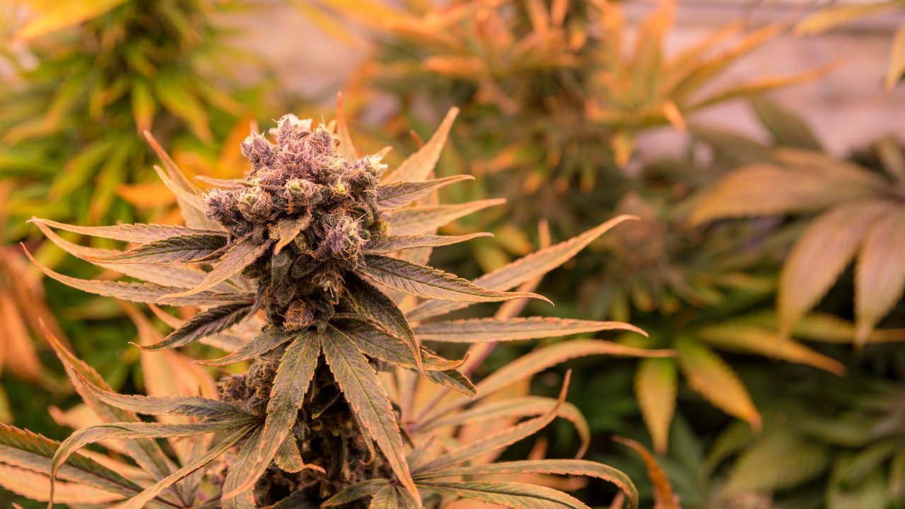 Symbolfoto. von Nils Dinkel