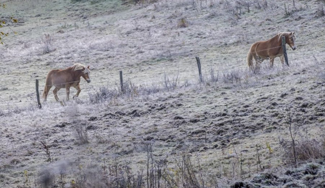 Etwas Schnee kann es am Wochenende geben. von privat