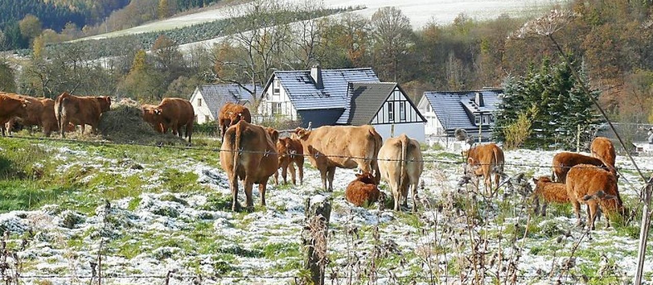 Der Schnee ist bald Vergangenheit von privat