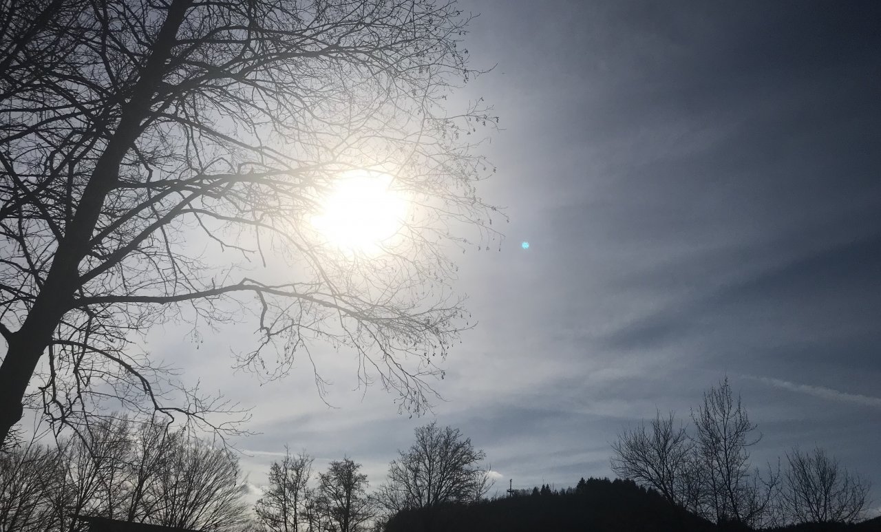 Frühling - Symbolfoto von privat