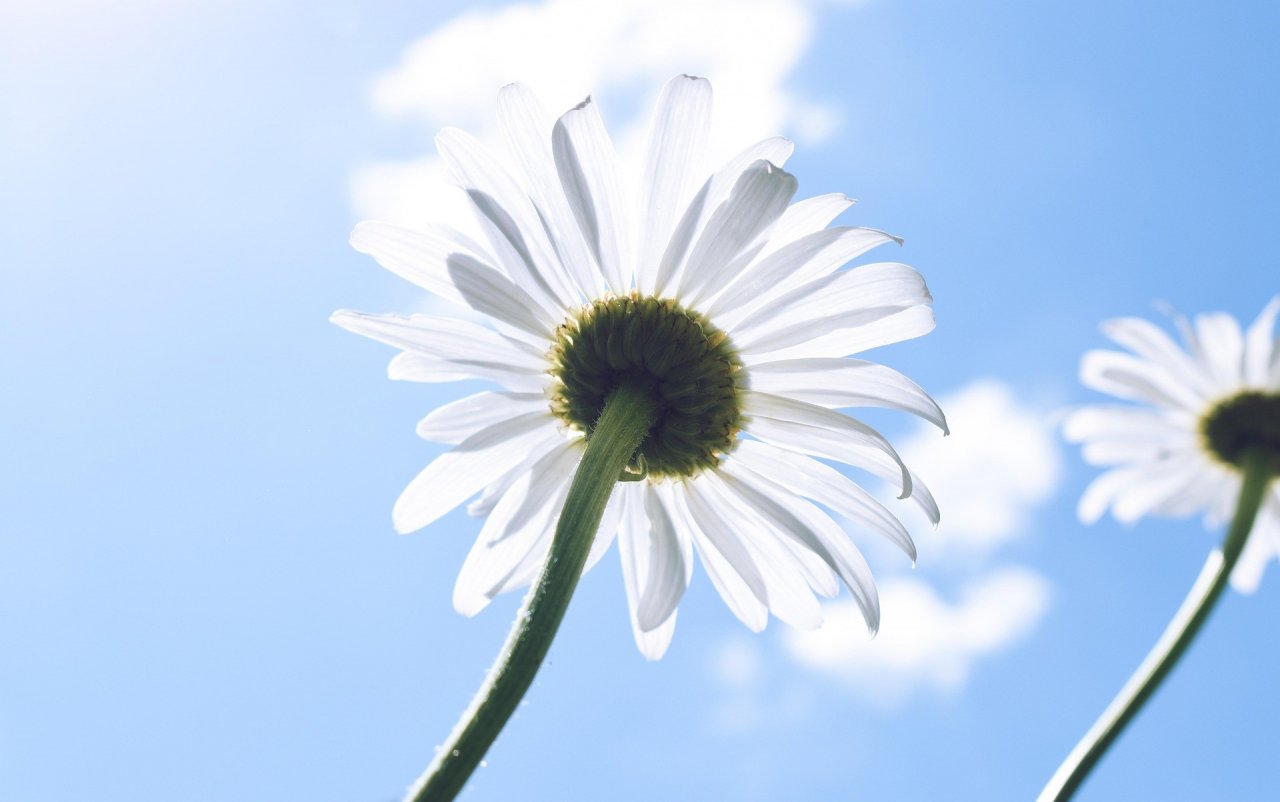 Symbolfoto Frühling, Sonne von Pixabay.com