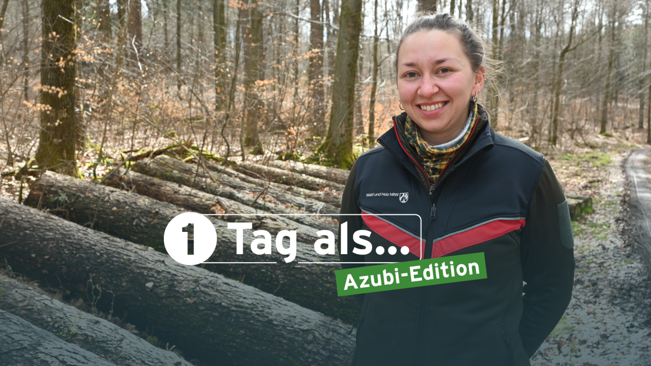 Eva Marie Lotz ist Forstinspektoranwärterin beim Regionalforstamt Kurkölnisches Sauerland. von Jana Becker, Grafik: Ralph Schneider