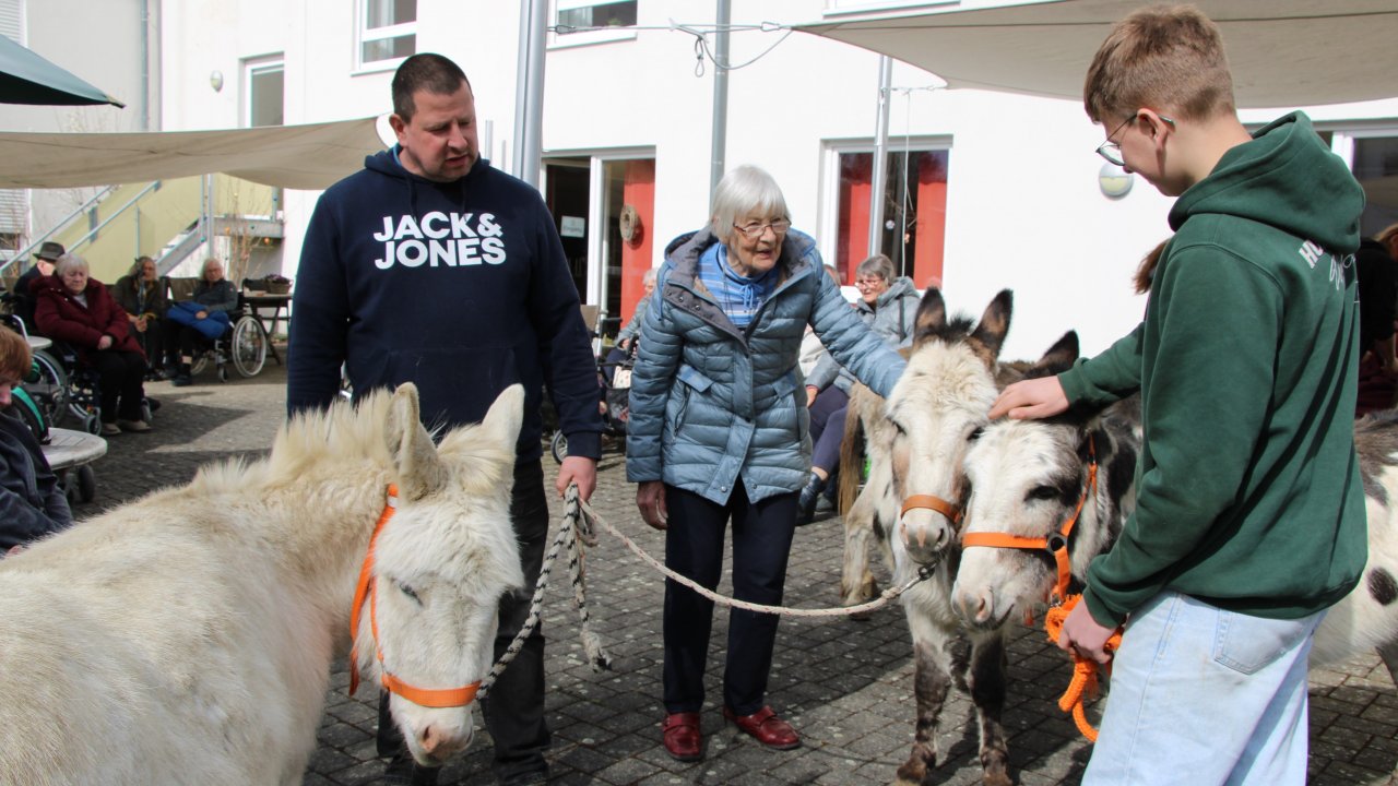 Das GFO Zentrum Rothemühle hat sich jetzt über tierischen Besuch gefreut: Familie Preuß aus Ottfingen kam mit ihren fünf Eseln vorbei. von Lorena Klein